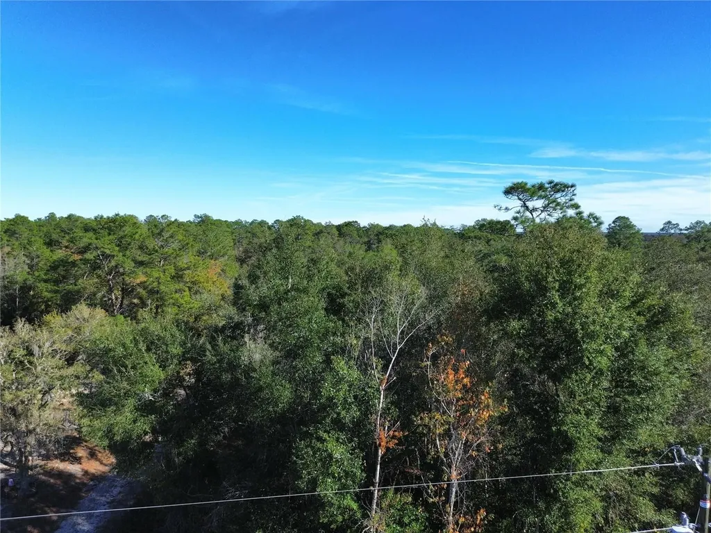 0 SE 178th Avenue Silver Springs FL 34488