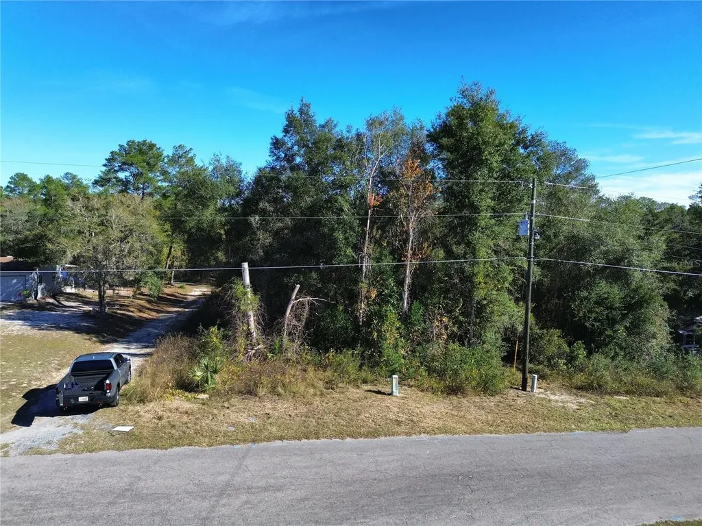 0 SE 178th Avenue Silver Springs FL 34488