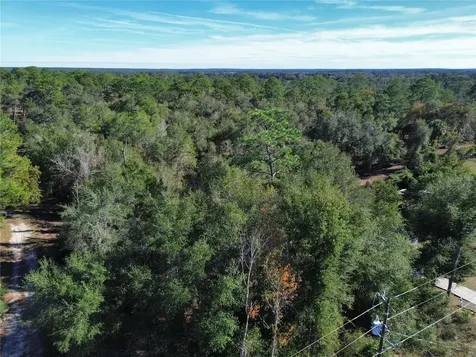 0 SE 178th Avenue Silver Springs FL 34488