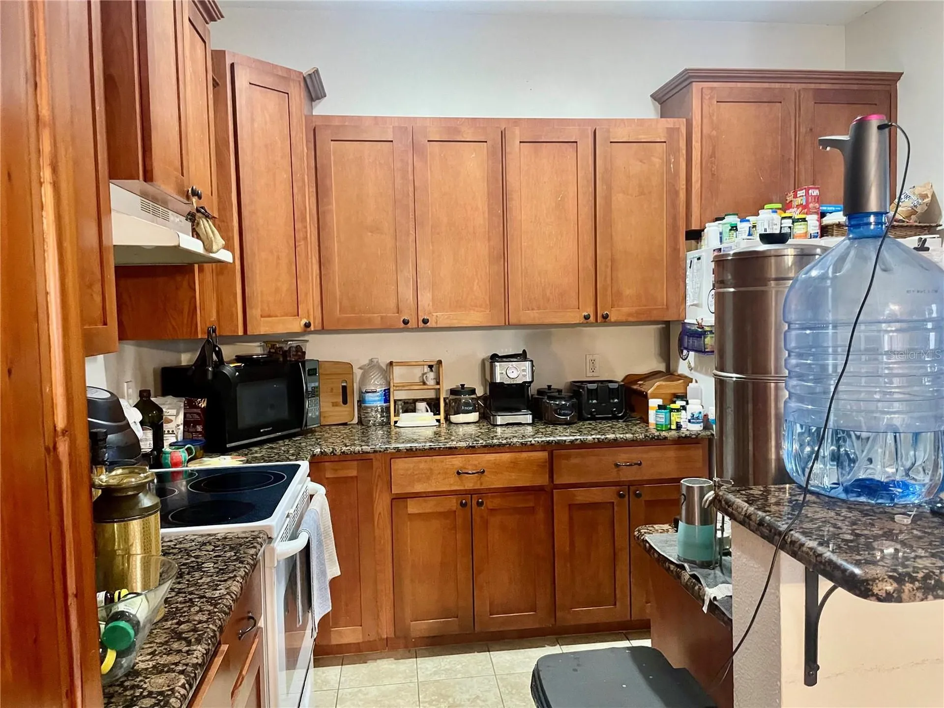 646 Norfolk Street Dunedin FL 34698