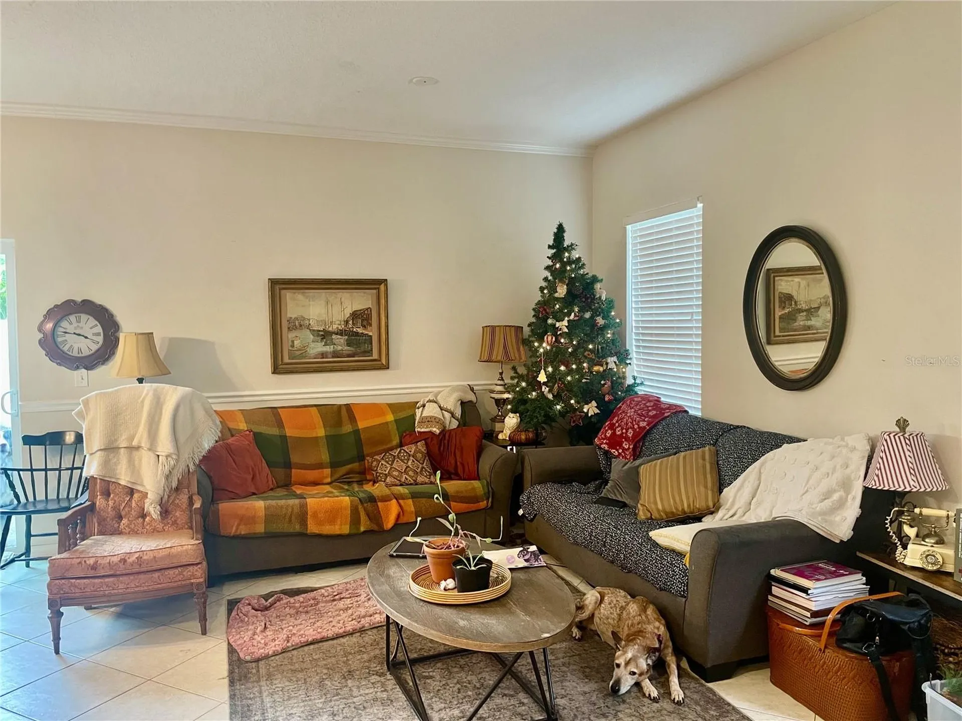 646 Norfolk Street Dunedin FL 34698
