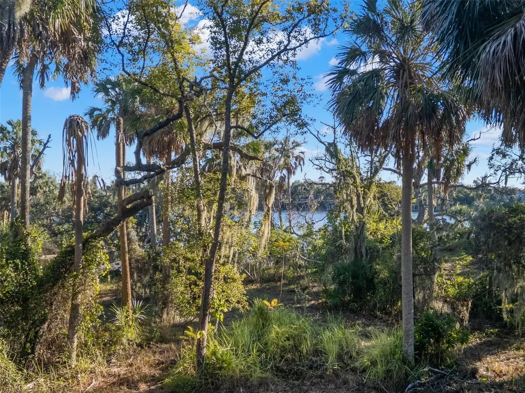 9511 River Cove Drive Riverview FL 33578