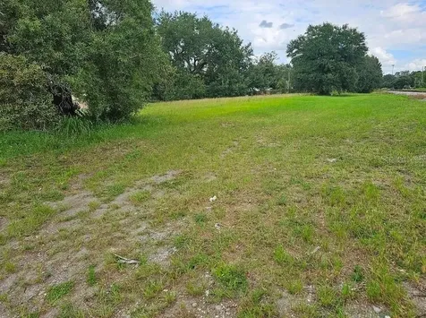 4401 N 42nd Street Tampa FL 33610