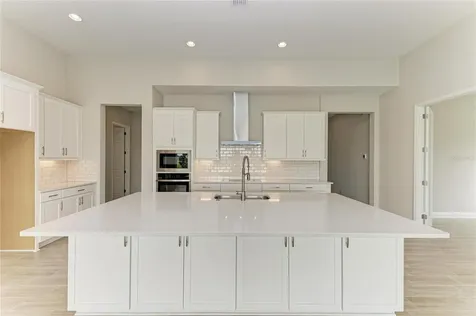 9592 Surrey Rose Drive San Antonio FL 33576