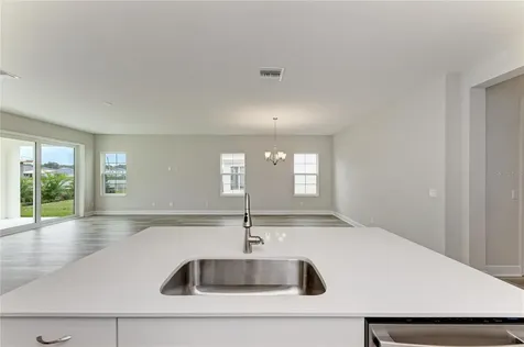 10198 Surrey Rose Drive San Antonio FL 33576