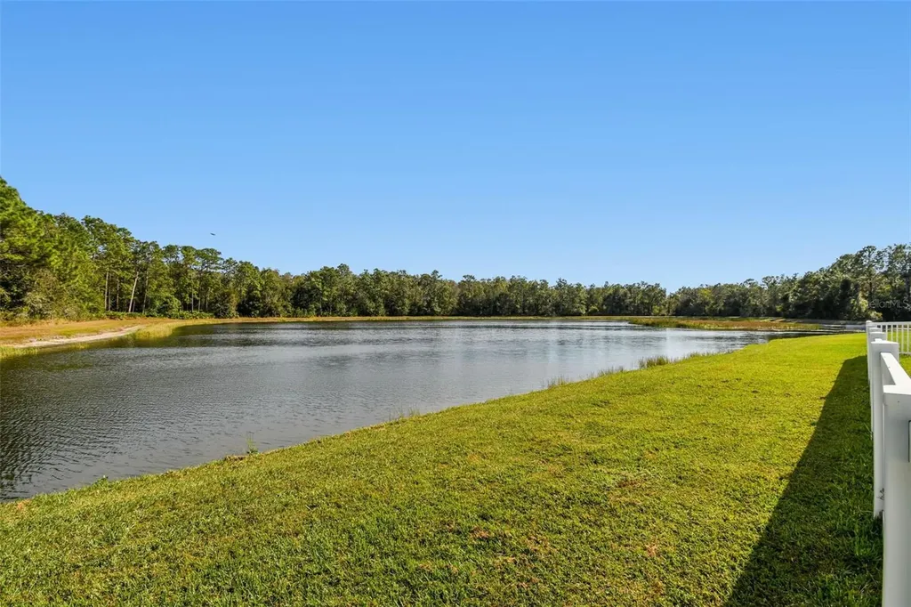 9311 Mangrove Court Tampa FL 33647