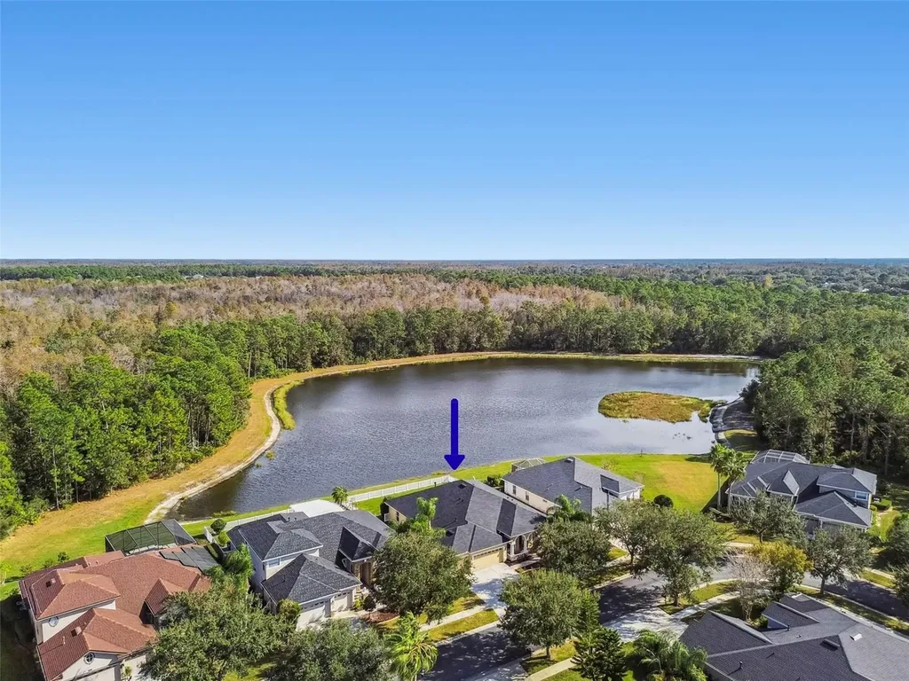 9311 Mangrove Court Tampa FL 33647