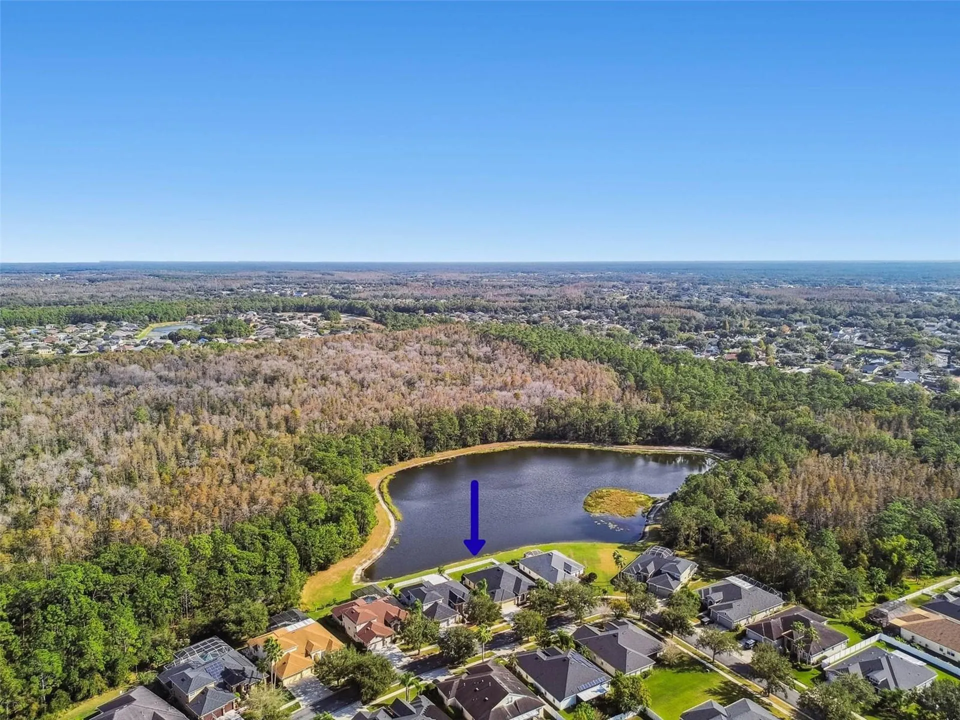9311 Mangrove Court Tampa FL 33647