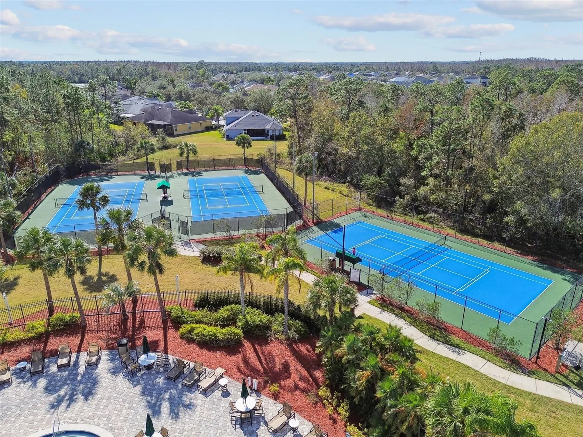 9311 Mangrove Court Tampa FL 33647