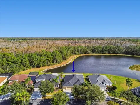 9311 Mangrove Court Tampa FL 33647