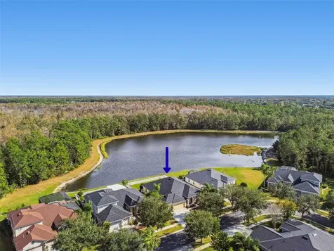 9311 Mangrove Court Tampa FL 33647