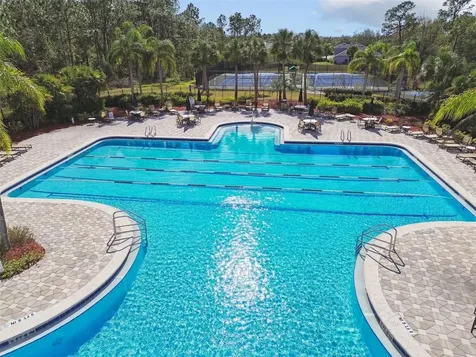 9311 Mangrove Court Tampa FL 33647