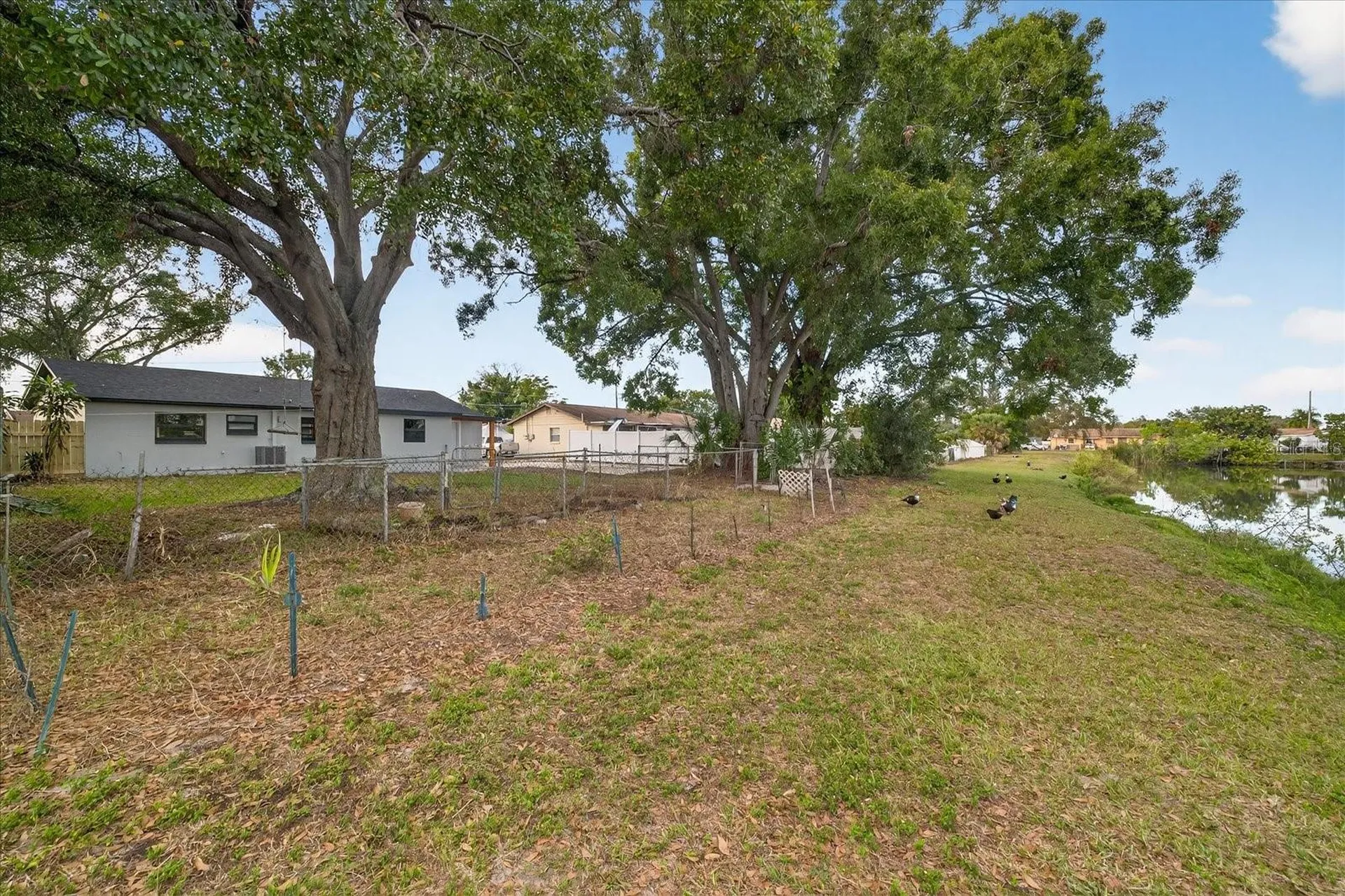 6107 Cole Drive Tampa FL 33634