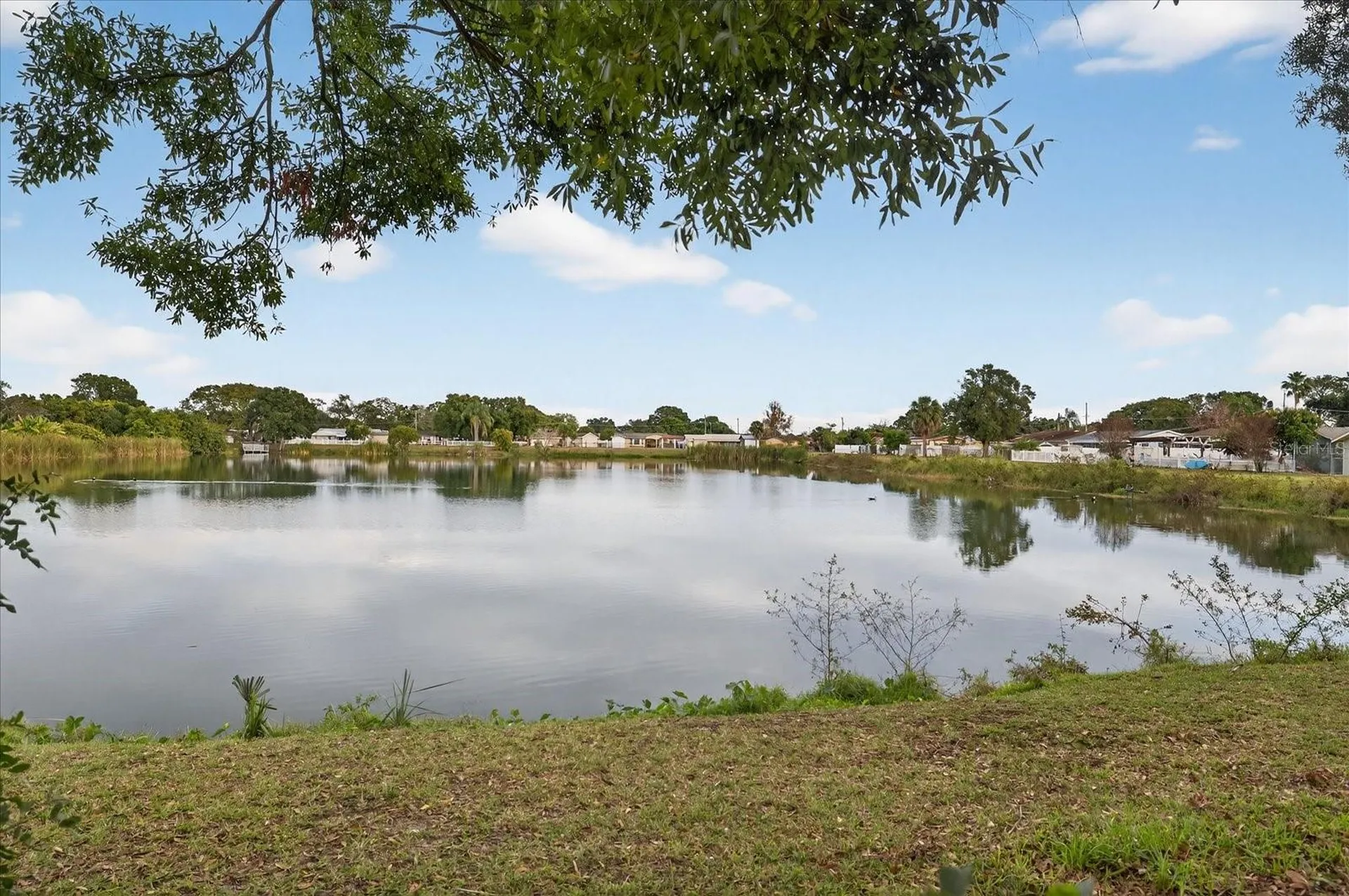 6107 Cole Drive Tampa FL 33634