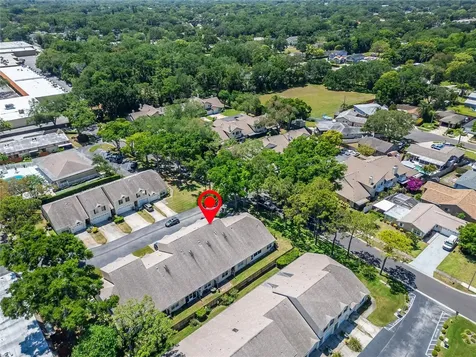 658 Green Valley Road Palm Harbor FL 34683