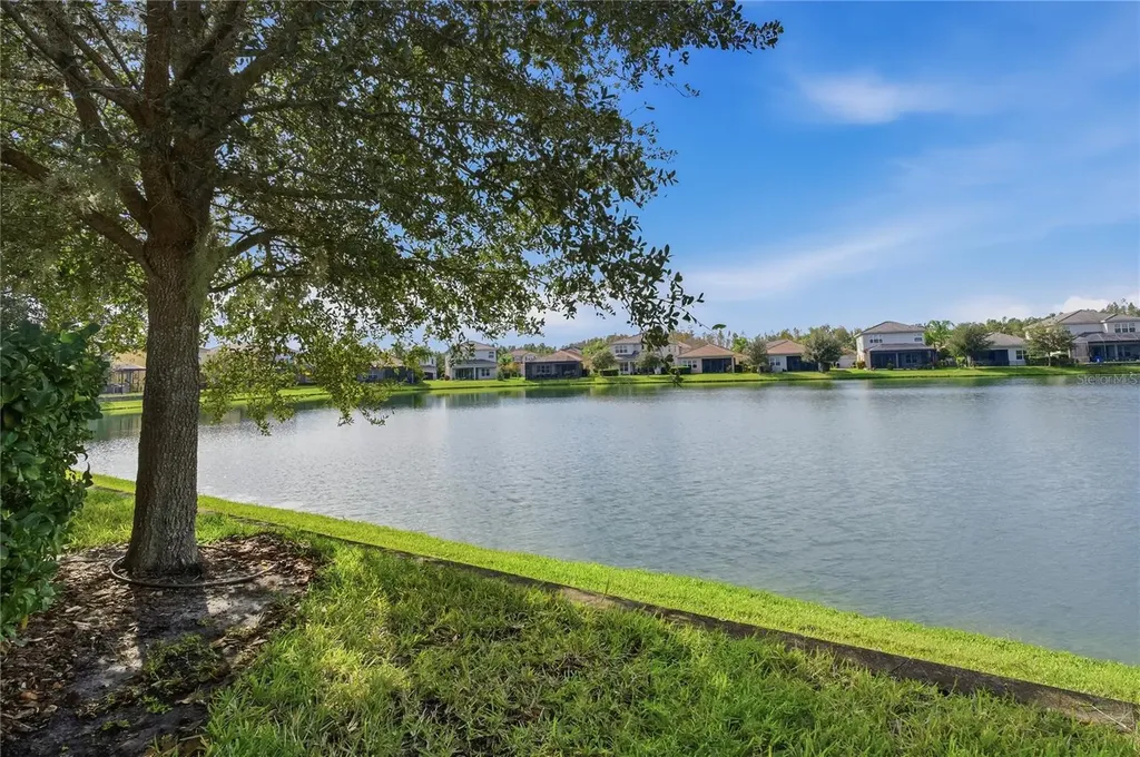 30588 Chesapeake Bay Drive Wesley Chapel FL 33543