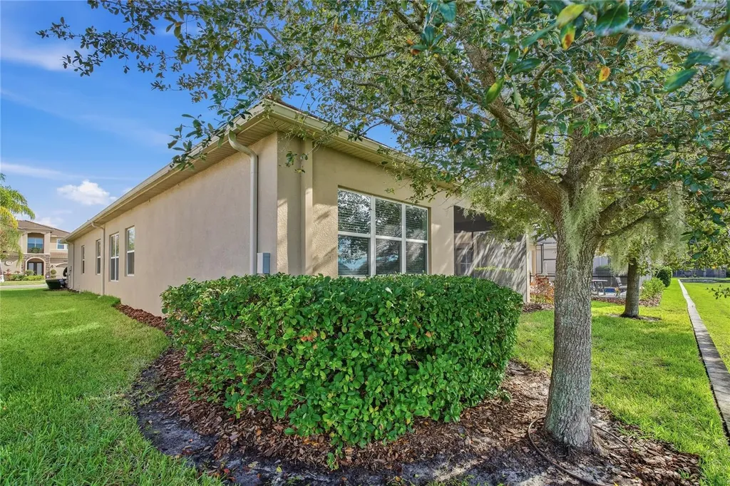 30588 Chesapeake Bay Drive Wesley Chapel FL 33543