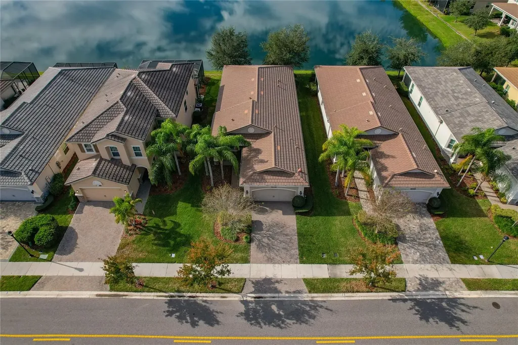 30588 Chesapeake Bay Drive Wesley Chapel FL 33543
