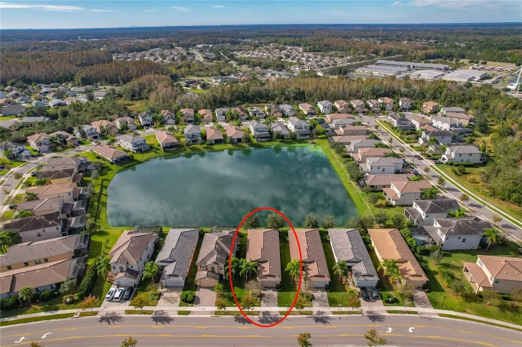 30588 Chesapeake Bay Drive Wesley Chapel FL 33543