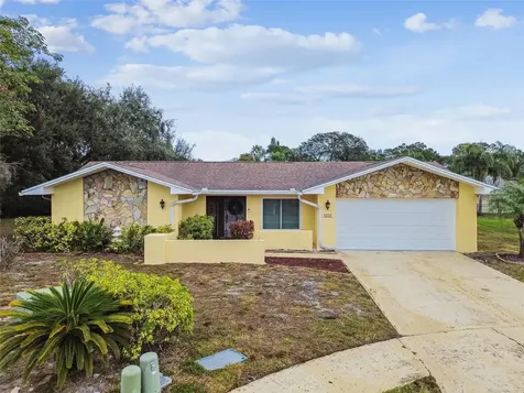 3545 Snowy Egret Court Palm Harbor FL 34683