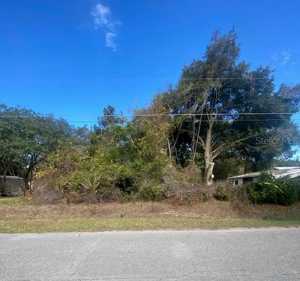 0 SE 143 Lane Summerfield FL 34491