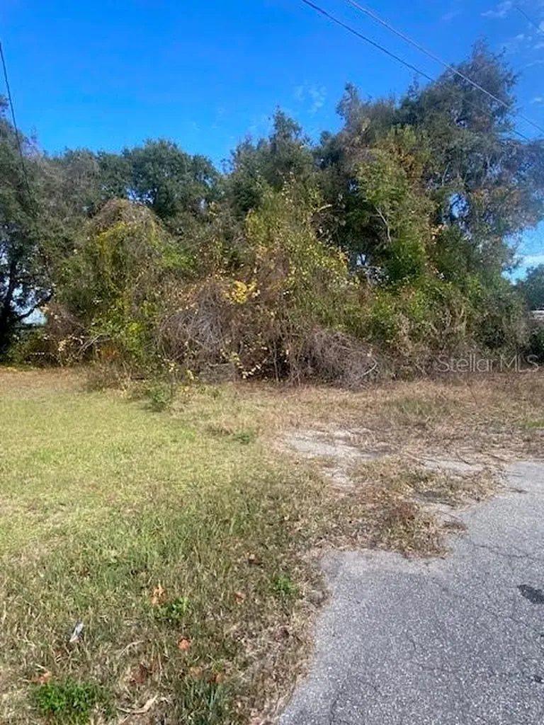 0 SE 143 Lane Summerfield FL 34491