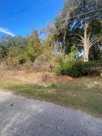 0 SE 143 Lane Summerfield FL 34491