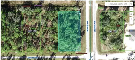 0 Orchid Drive Indian Lake Estates FL 33855