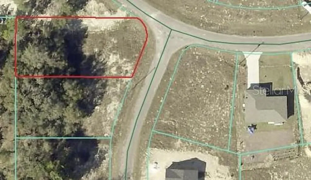 00 Maple Lane Ocklawaha FL 32179