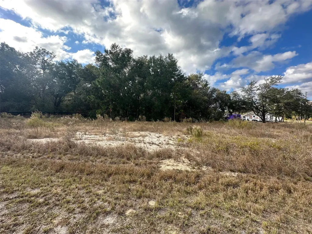 00 Maple Lane Ocklawaha FL 32179