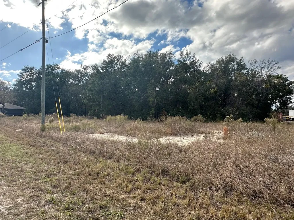 00 Maple Lane Ocklawaha FL 32179