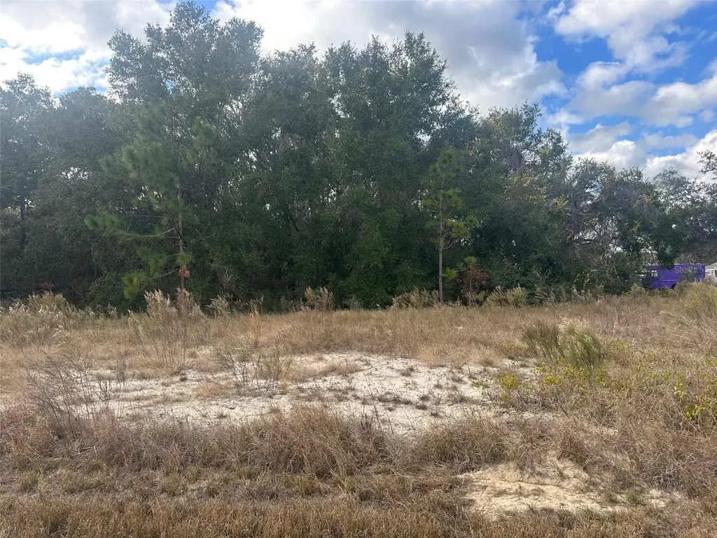 00 Maple Lane Ocklawaha FL 32179