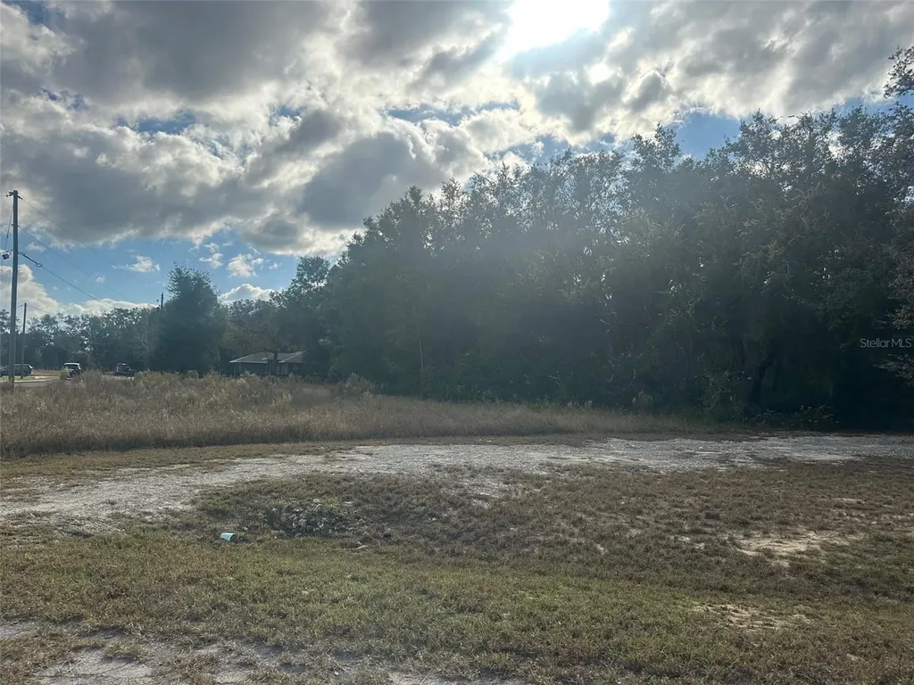 00 Maple Lane Ocklawaha FL 32179