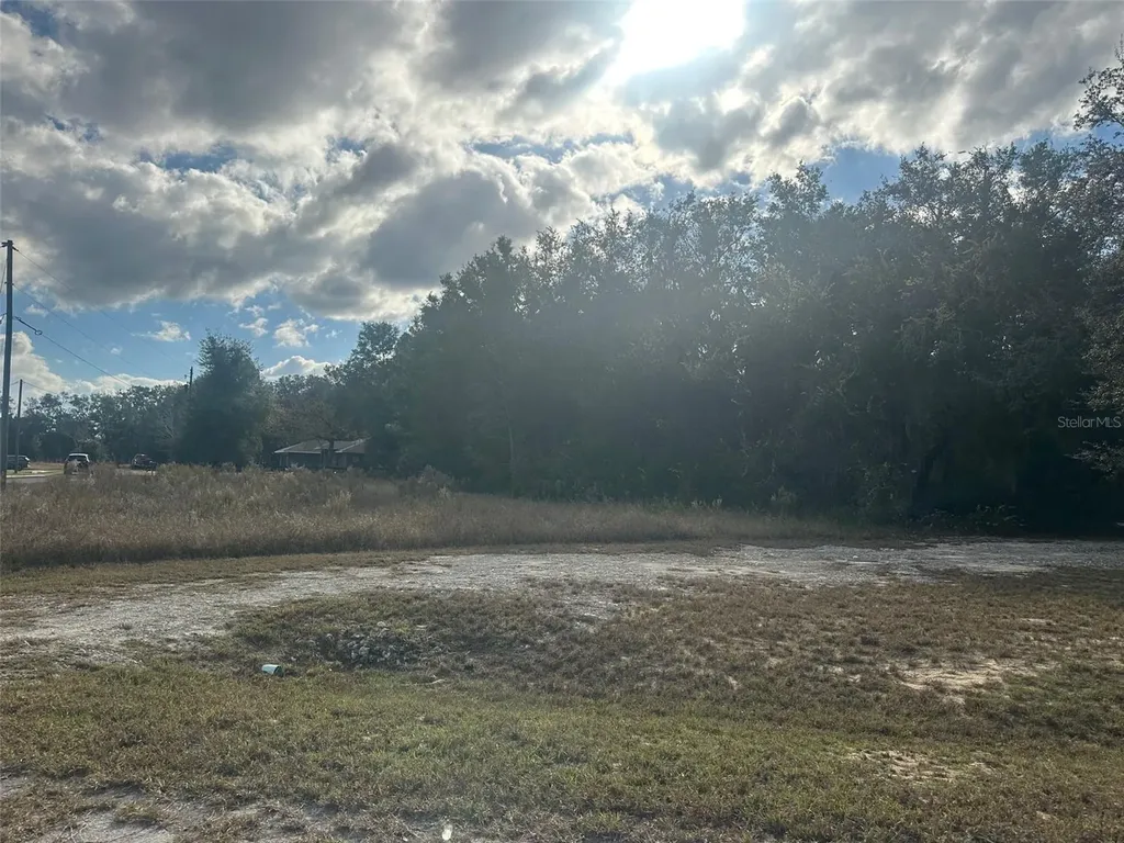 00 Maple Lane Ocklawaha FL 32179
