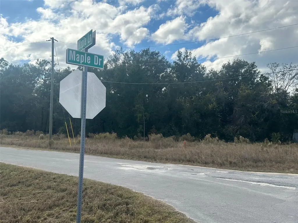 00 Maple Lane Ocklawaha FL 32179