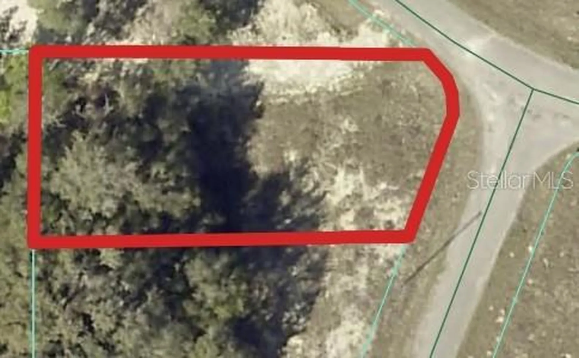 00 Maple Lane Ocklawaha FL 32179