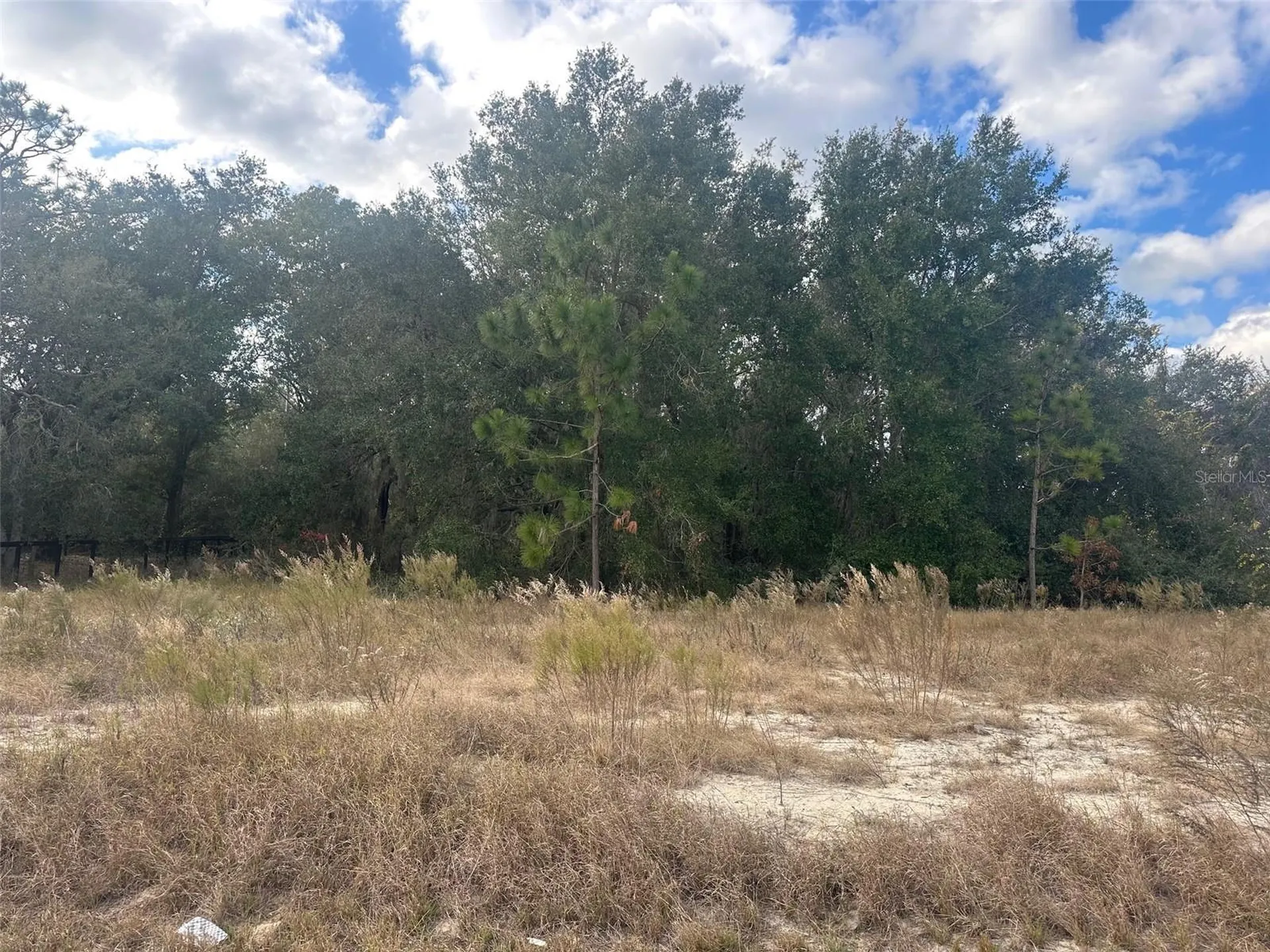 00 Maple Lane Ocklawaha FL 32179