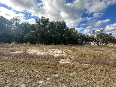 00 Maple Lane Ocklawaha FL 32179
