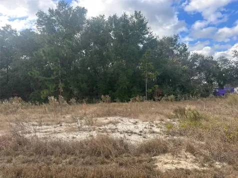 00 Maple Lane Ocklawaha FL 32179