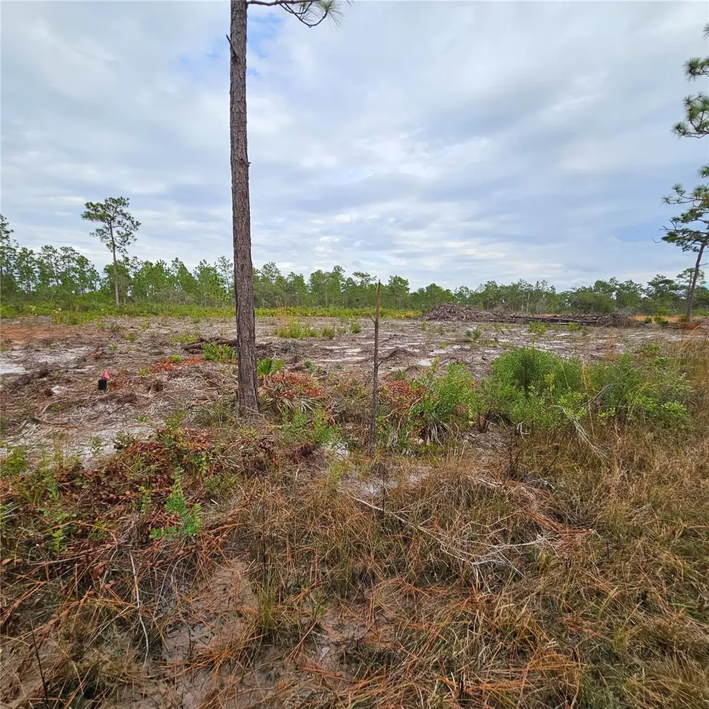 108 El Dorado Drive Indian Lake Estates FL 33855