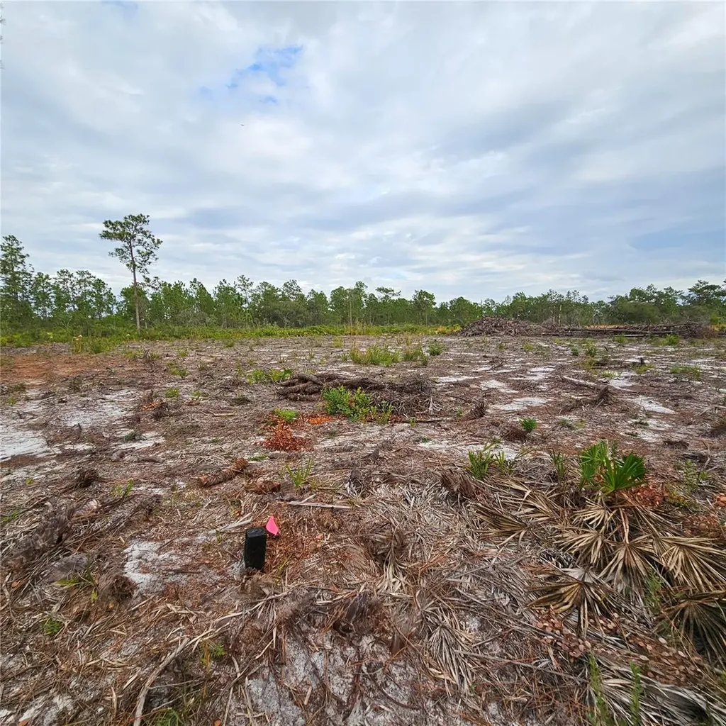 108 El Dorado Drive Indian Lake Estates FL 33855