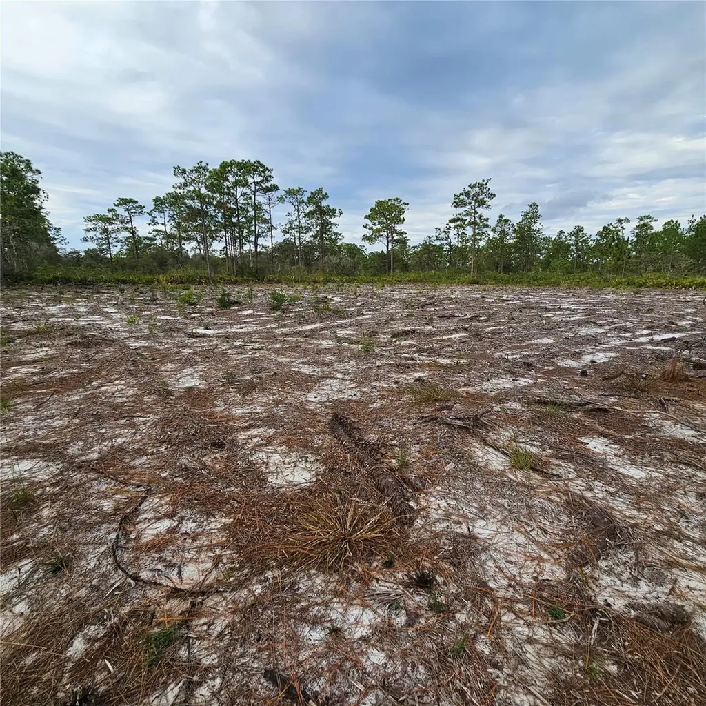 108 El Dorado Drive Indian Lake Estates FL 33855