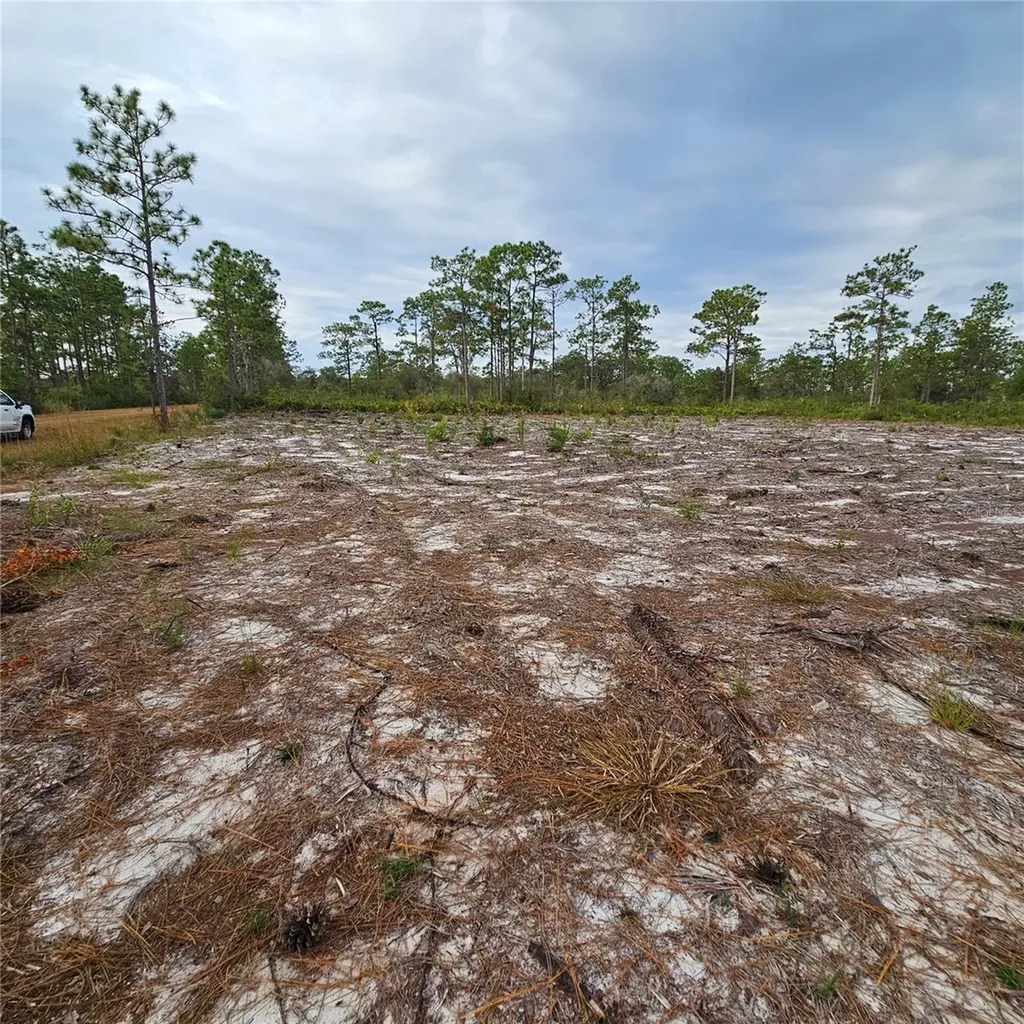108 El Dorado Drive Indian Lake Estates FL 33855