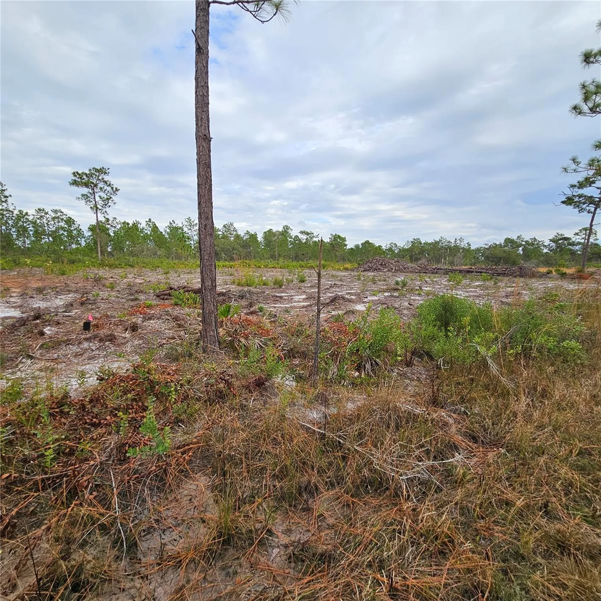 108 El Dorado Drive Indian Lake Estates FL 33855