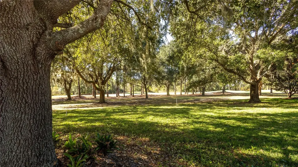 25921 San Rafael Court Howey In The Hills FL 34737