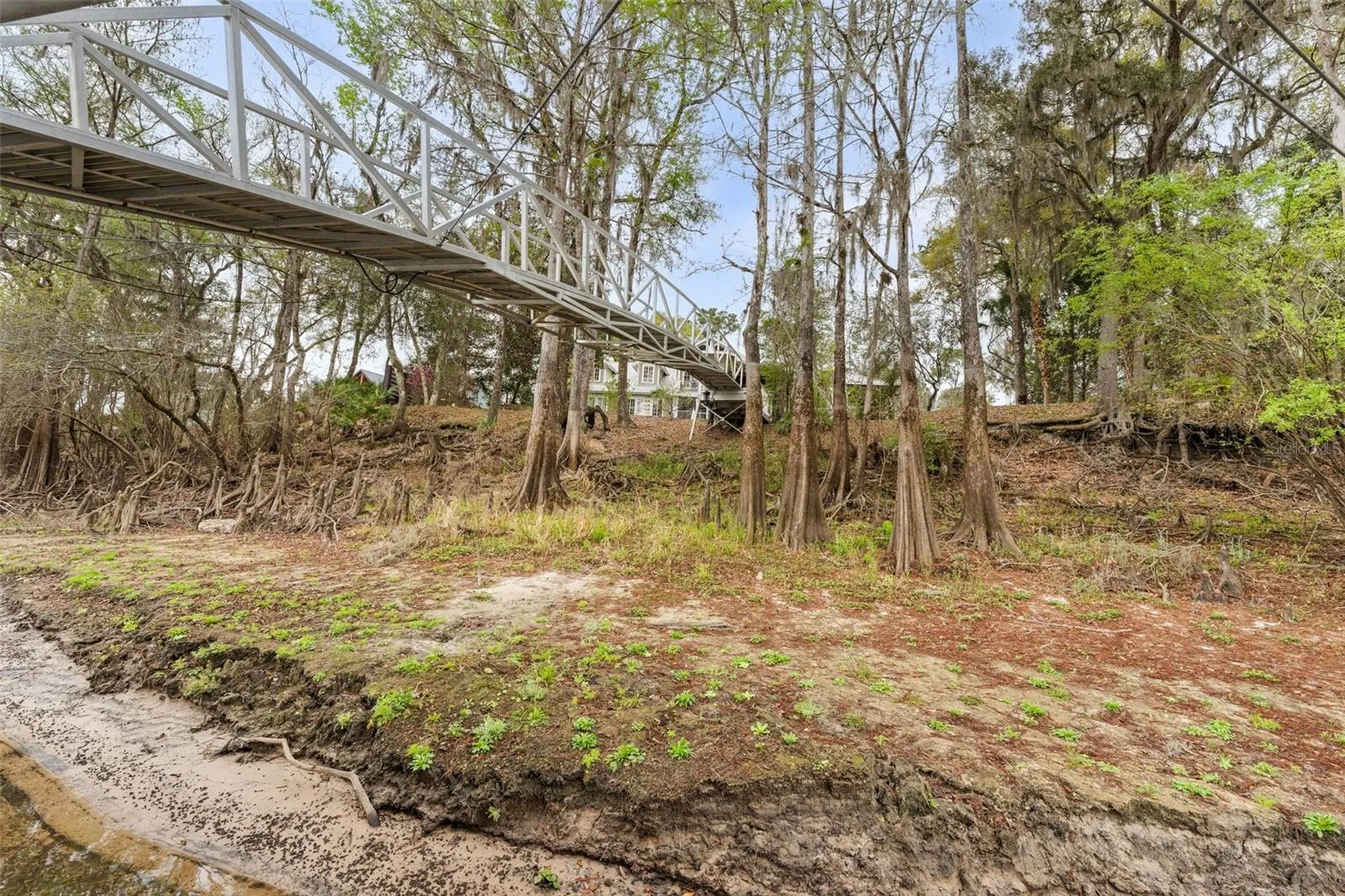 174 NE 972nd Street Branford FL 32008