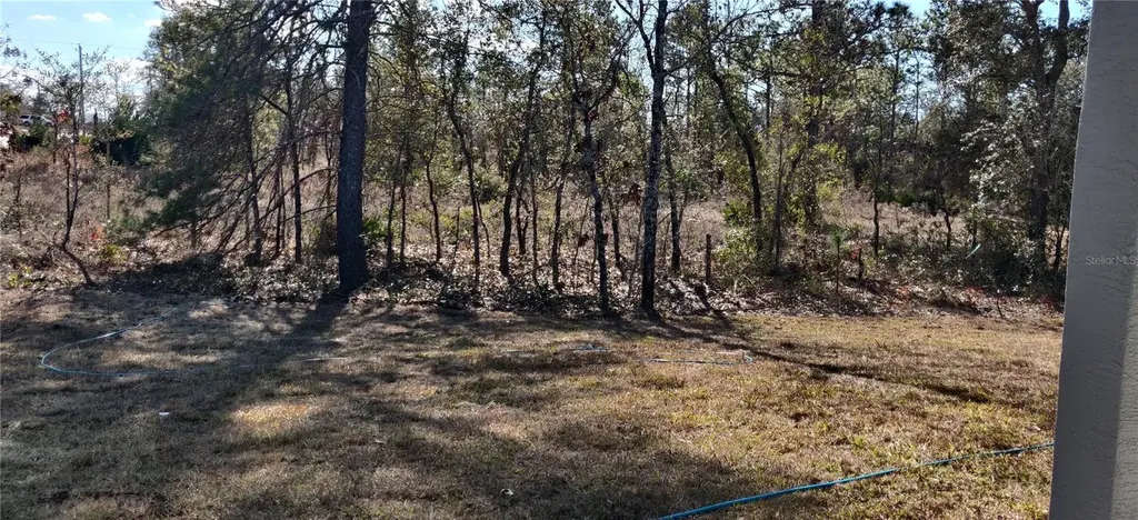 12334 Snow Goose Avenue Brooksville FL 34614