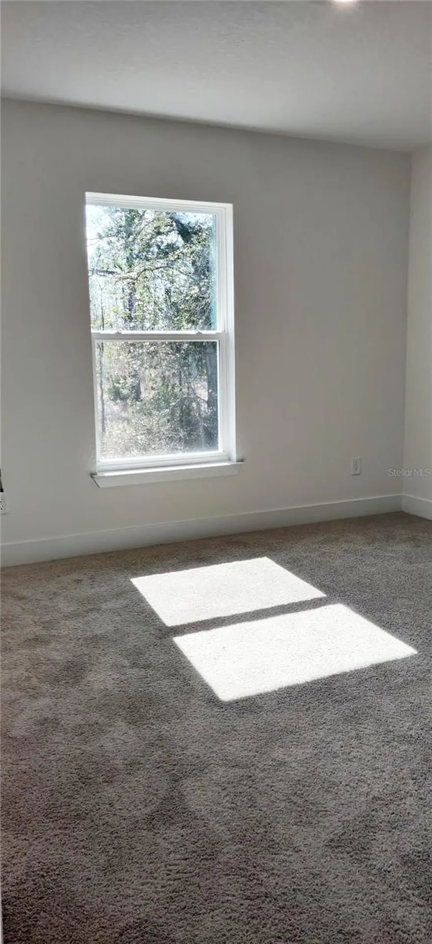 12334 Snow Goose Avenue Brooksville FL 34614