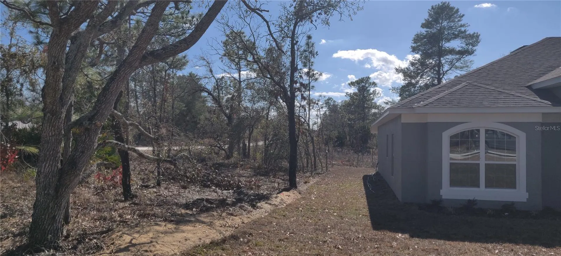 12334 Snow Goose Avenue Brooksville FL 34614