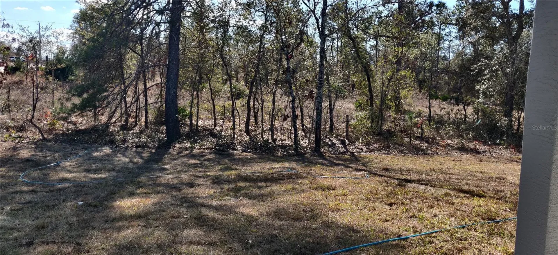 12334 Snow Goose Avenue Brooksville FL 34614